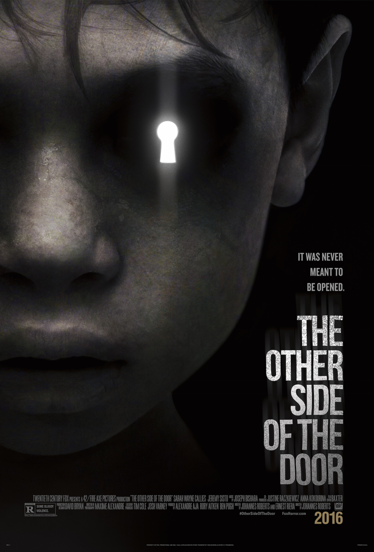Other Side Of The Door poster