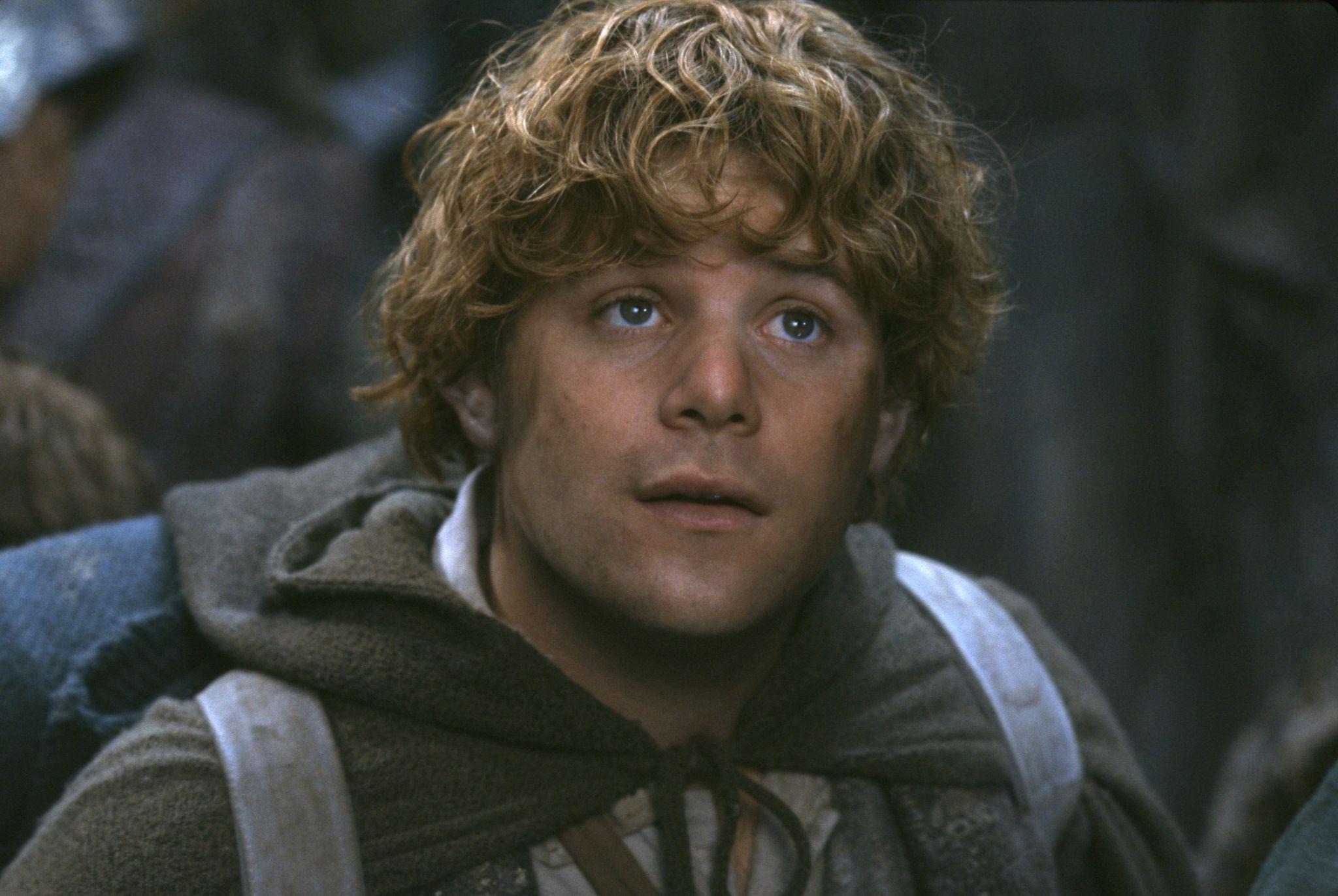 picture-of-sean-astin-in-the-lord-of-the-rings-the-fellowship-of-the-ring-large-picture