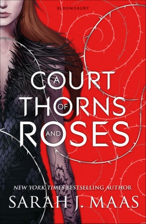 A Court Of Thorns And Roses by Sarah J Maas book review