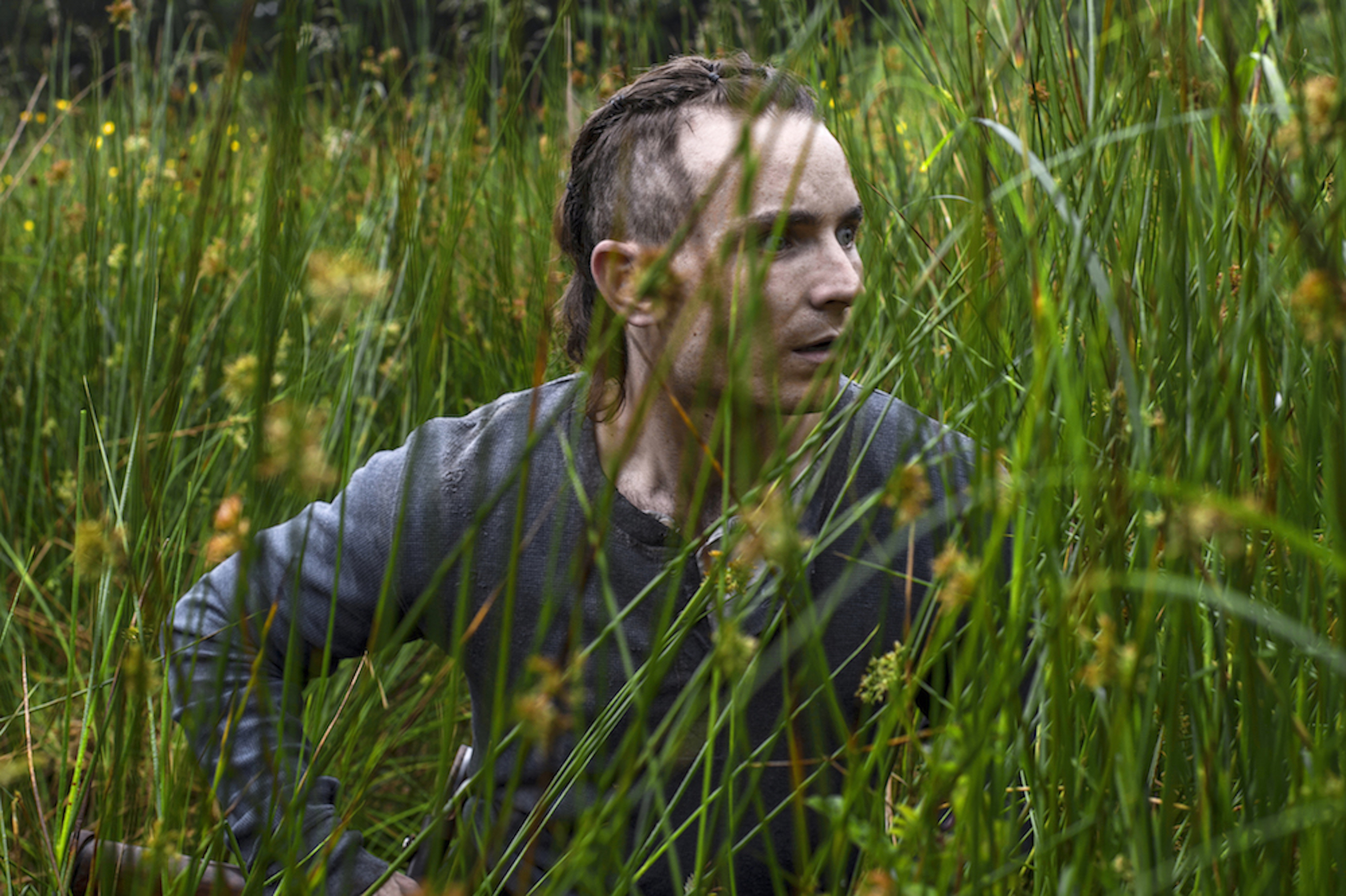 The Survivalist film review: end of days.