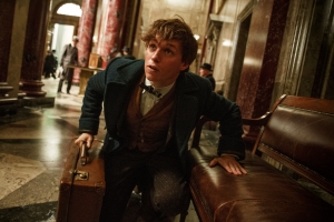 Fantastic Beasts featurette is out of this world