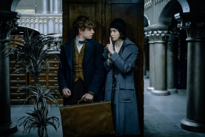 Fantastic Beasts And Where To Find Them review: a Newt beginning