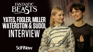 Fantastic Beasts cast & director interview: Rowling, Hogwarts houses and more
