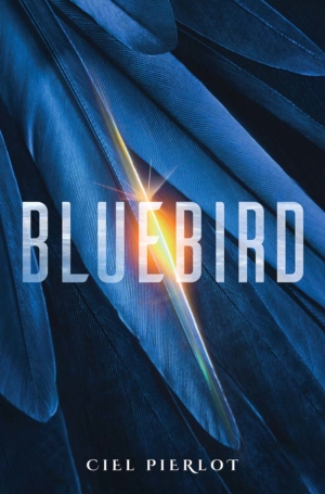 Bluebird Final