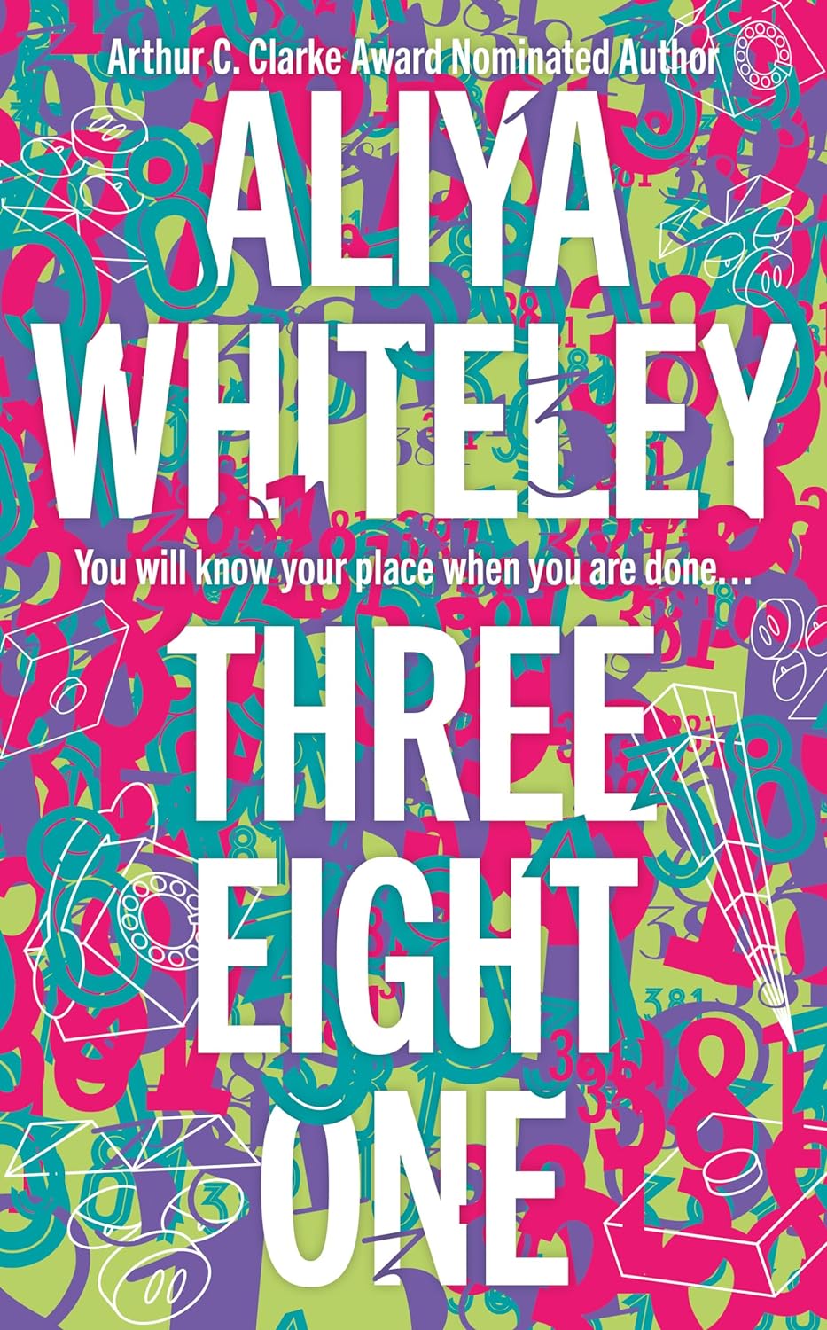 Three Eight One Aliya Whiteley