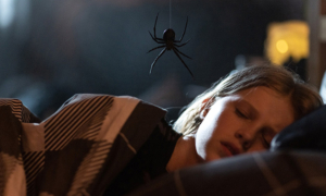 Sting Review: Delightfully gory spider shocker